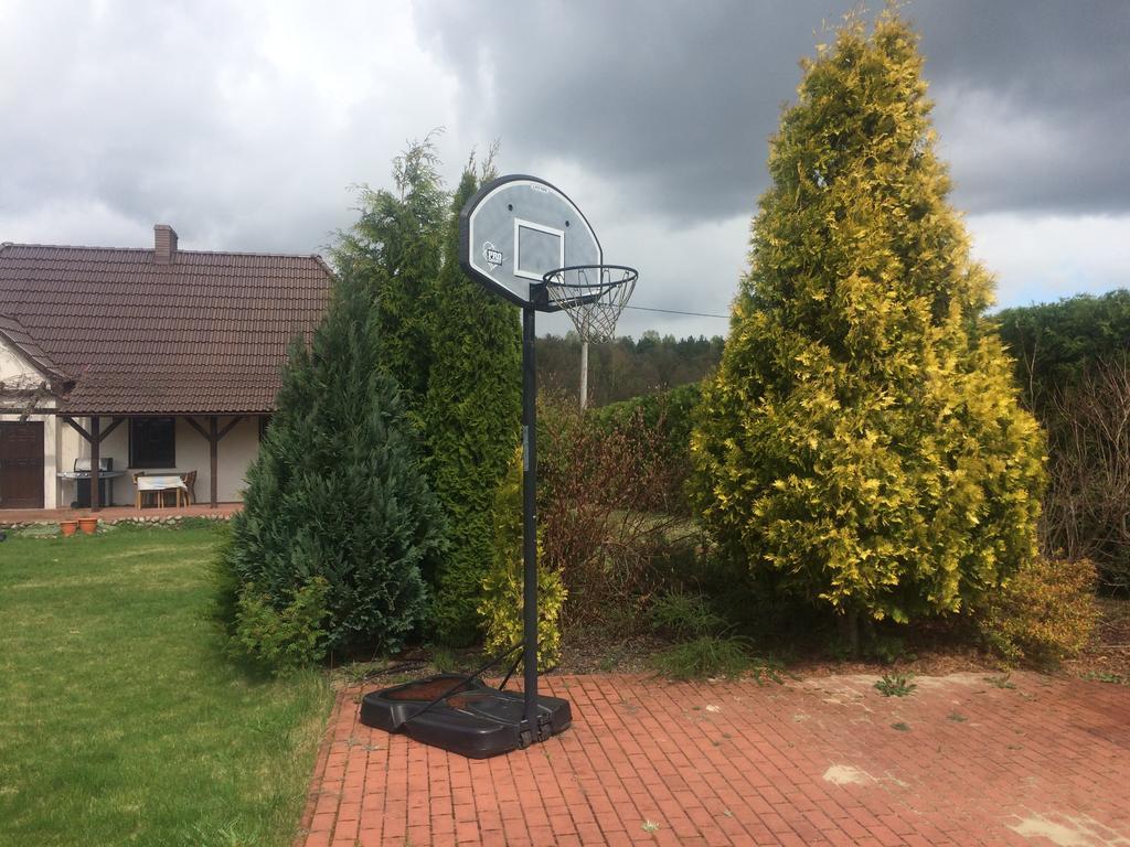 Dom Relaks & Wypoczynek Villa Skoki Dış mekan fotoğraf